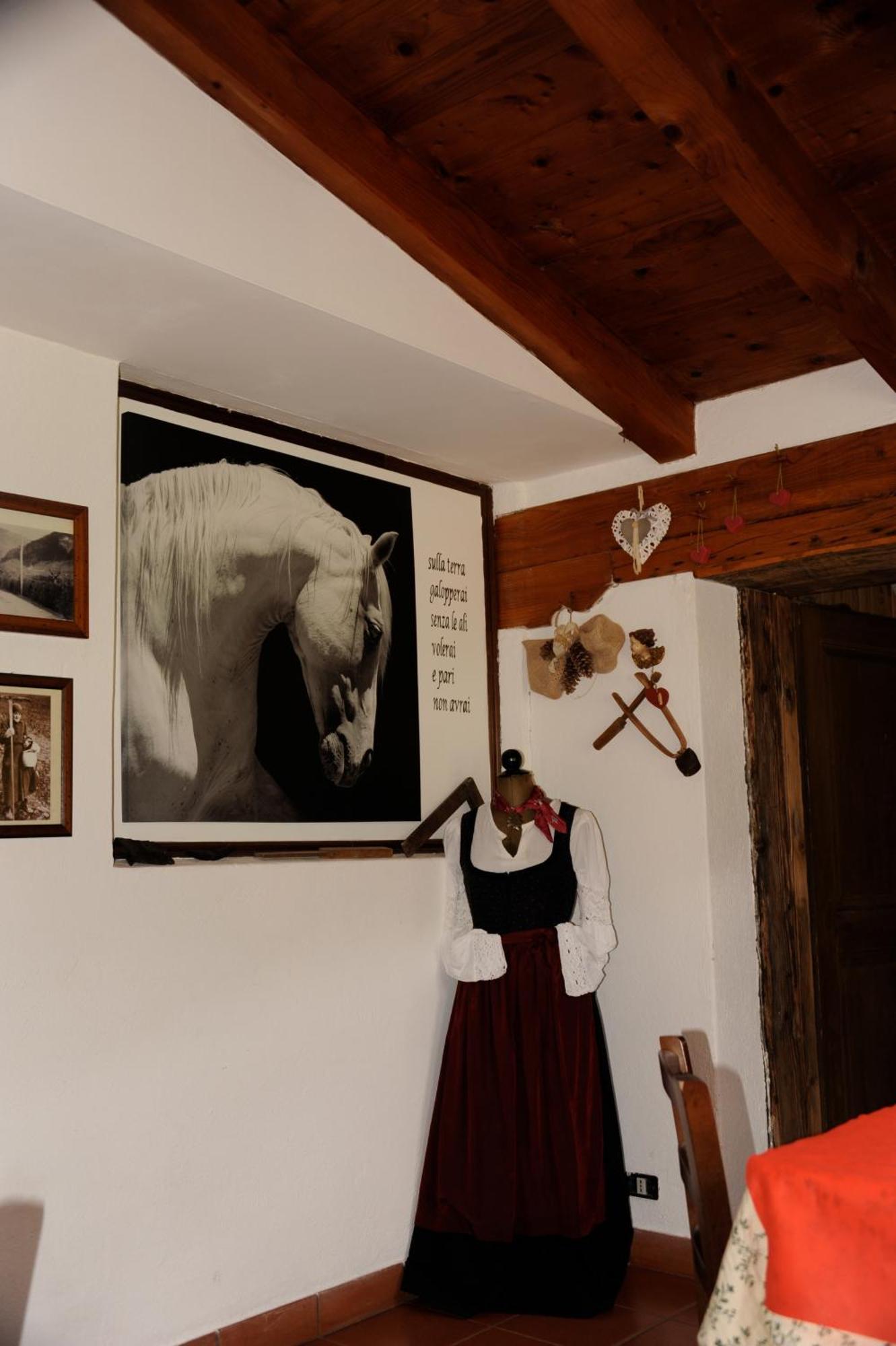Agriturismo Randis Piano dʼArta المظهر الخارجي الصورة