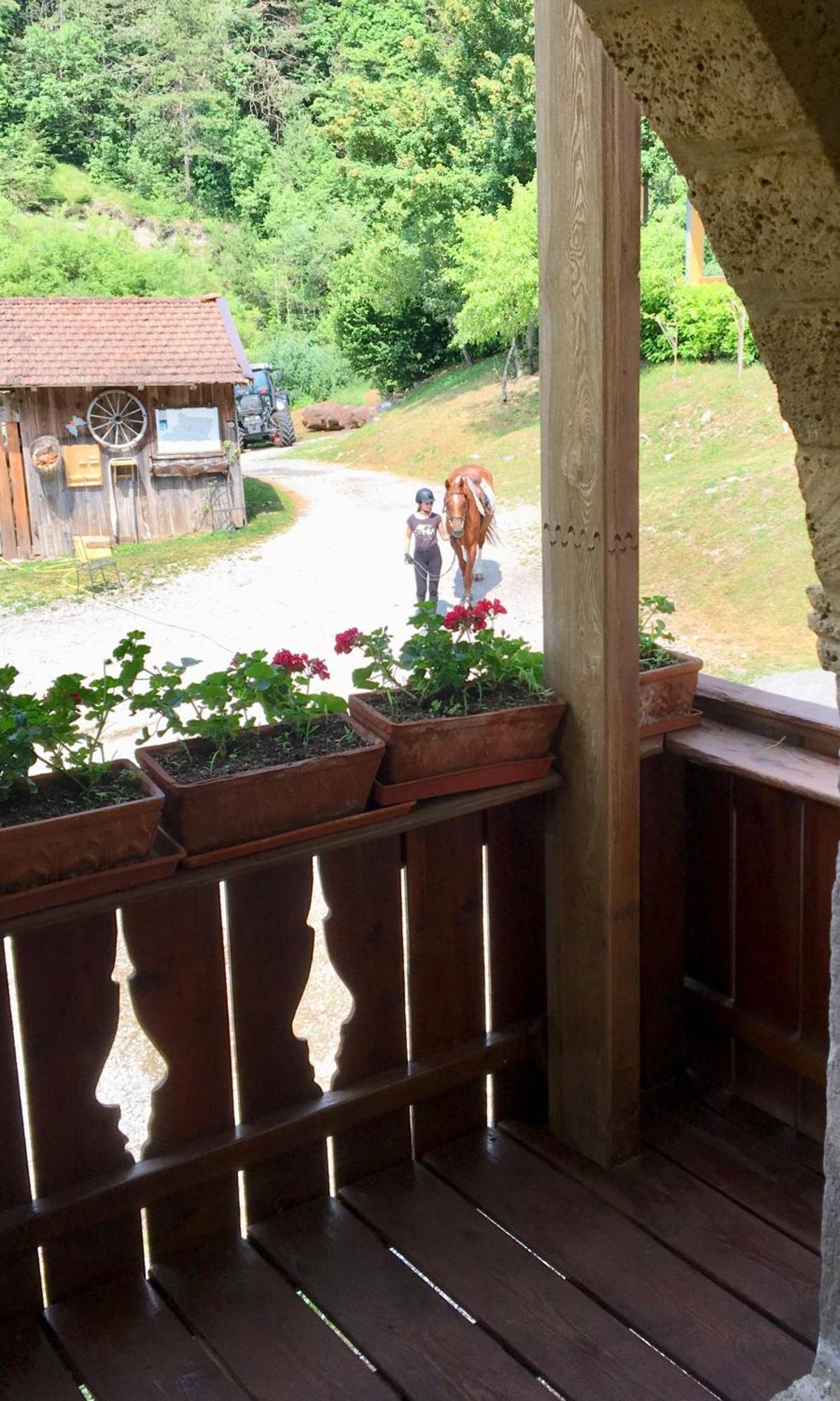 Agriturismo Randis Piano dʼArta المظهر الخارجي الصورة