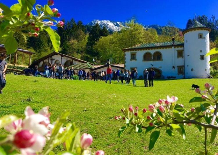 Agriturismo Randis Piano dʼArta المظهر الخارجي الصورة