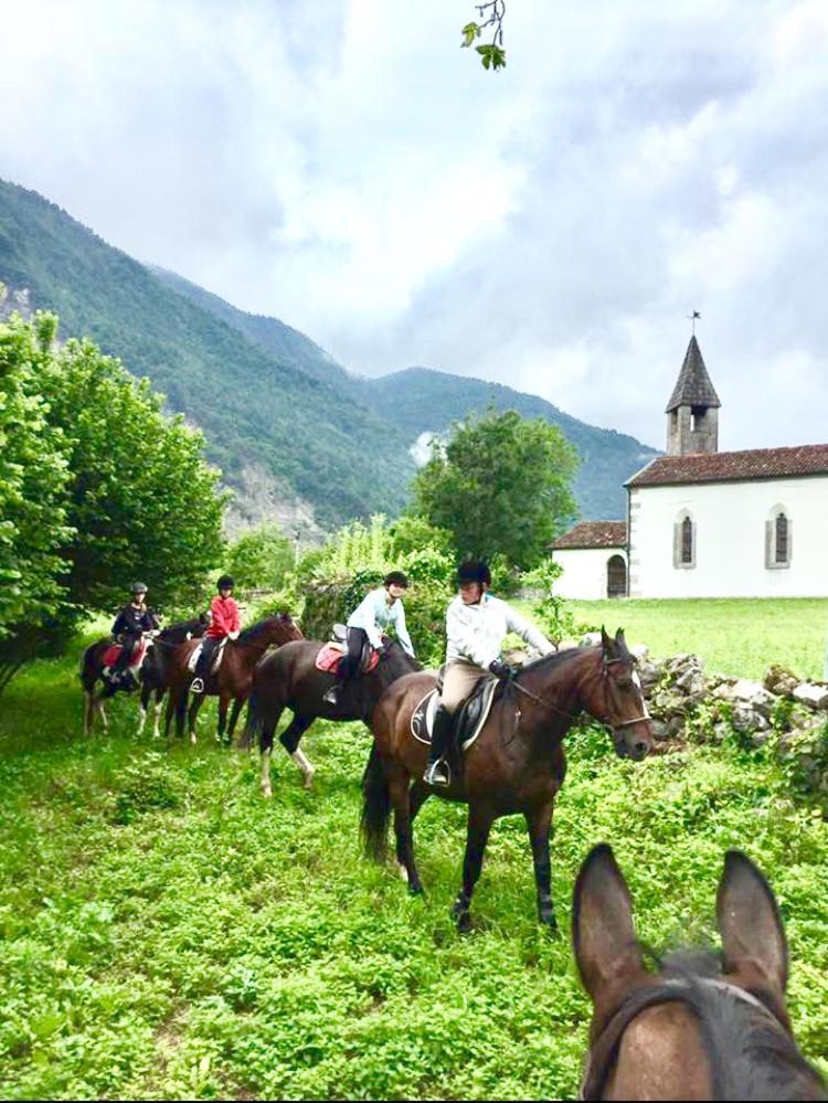 Agriturismo Randis Piano dʼArta المظهر الخارجي الصورة