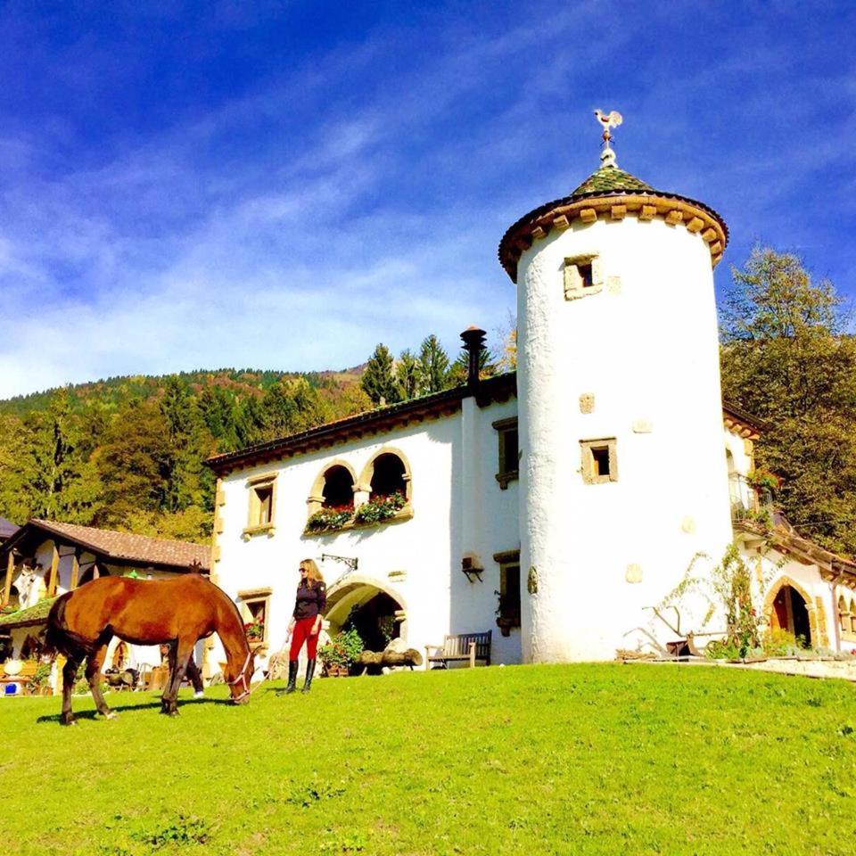 Agriturismo Randis Piano dʼArta المظهر الخارجي الصورة